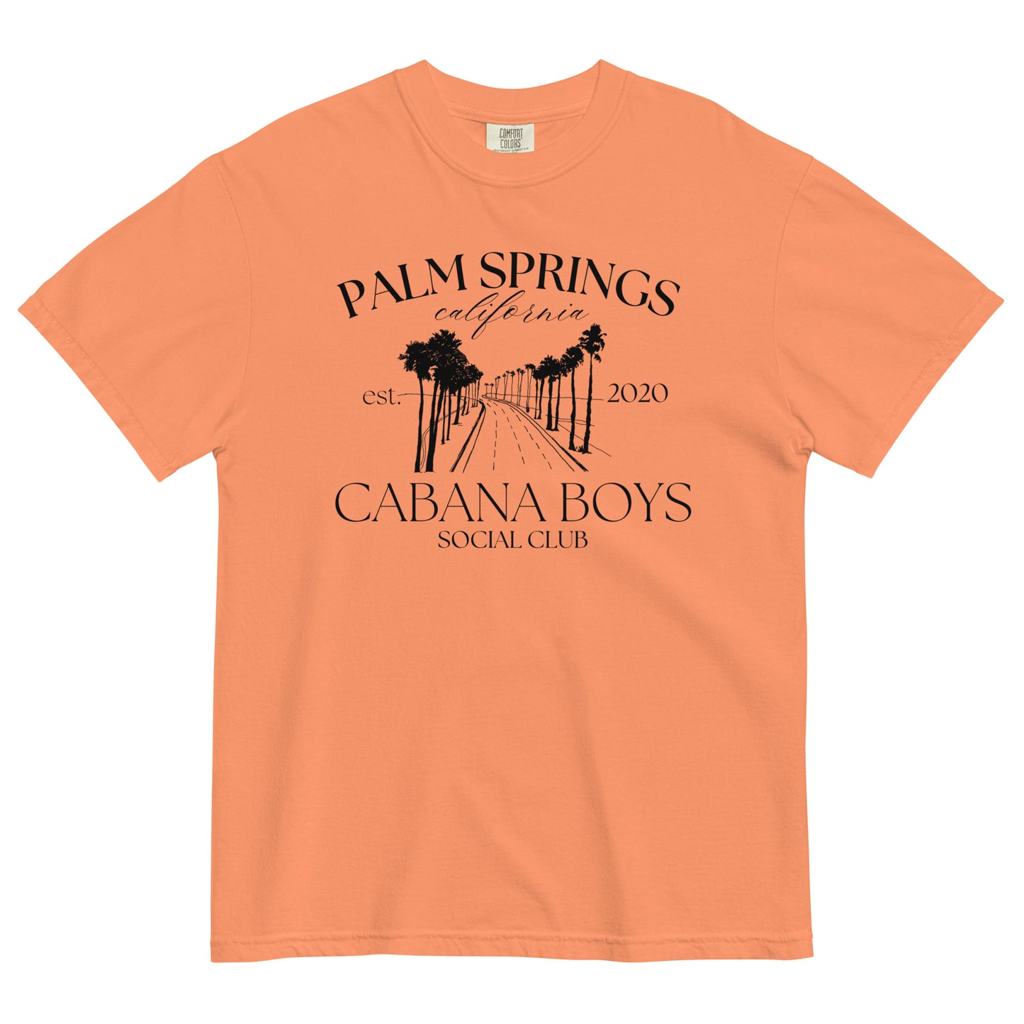 Social Club Cabana Boys Palm Springs Oversized Heavyweight T-shirt